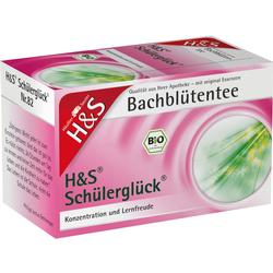 H&S BACHBL SCHUELERGLUECK